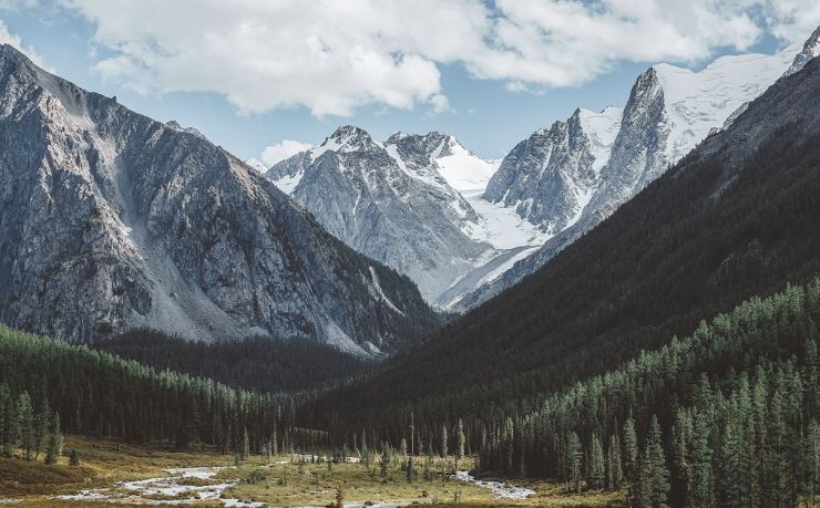 广州移民咨询推荐