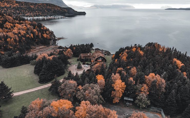 中国十大移民公司排名